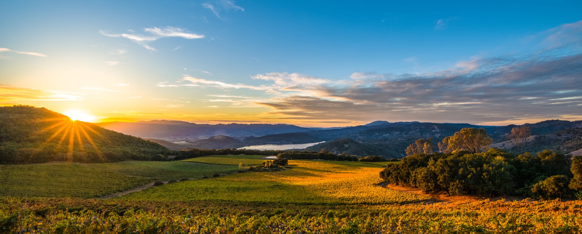 Napa Valley