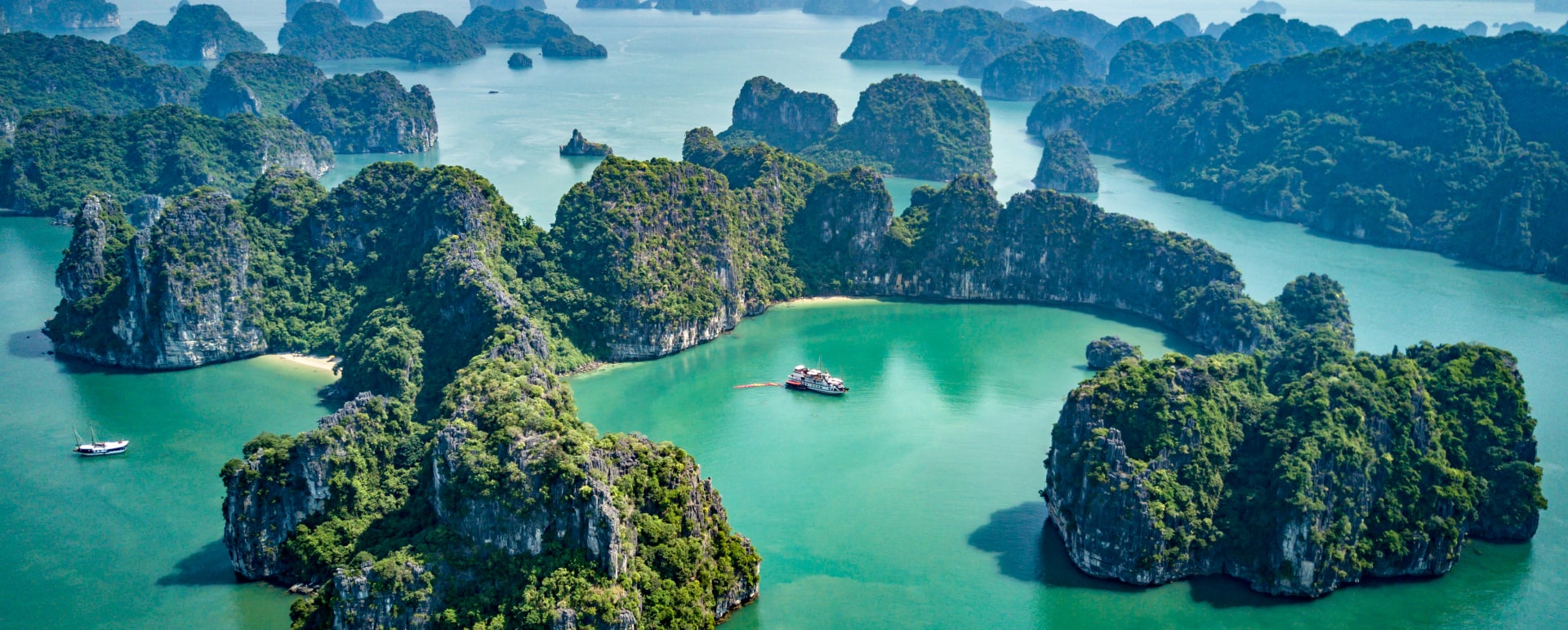 Bai Tu Long 