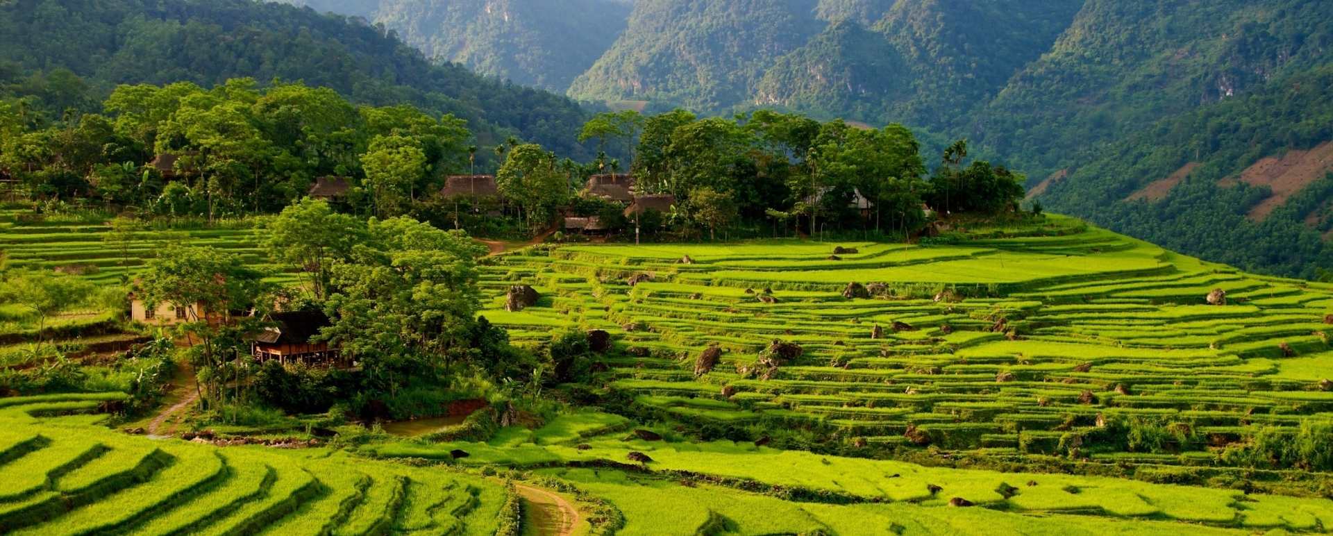 Mai Chau 
