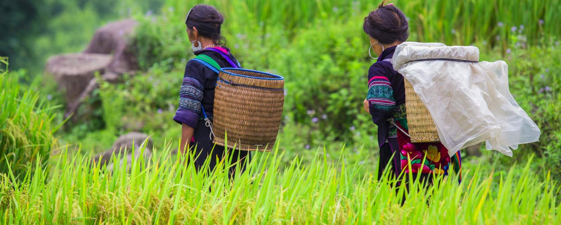 Rare Earth Vietnam