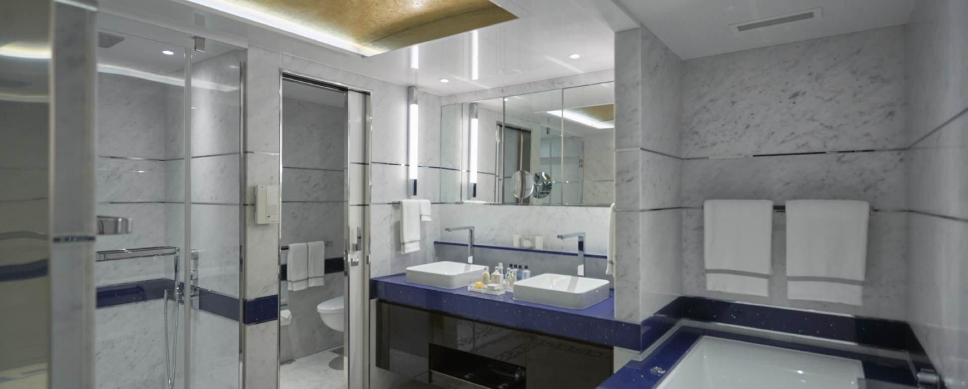 Seven Seas Suite Bathroom 