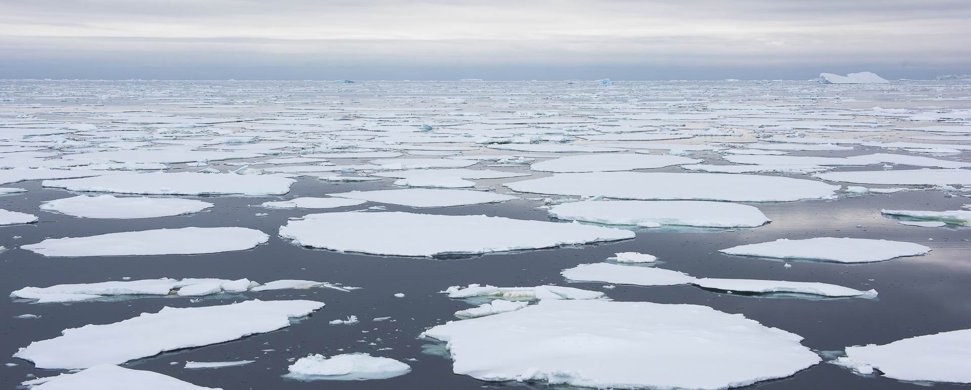 Ice Floes 