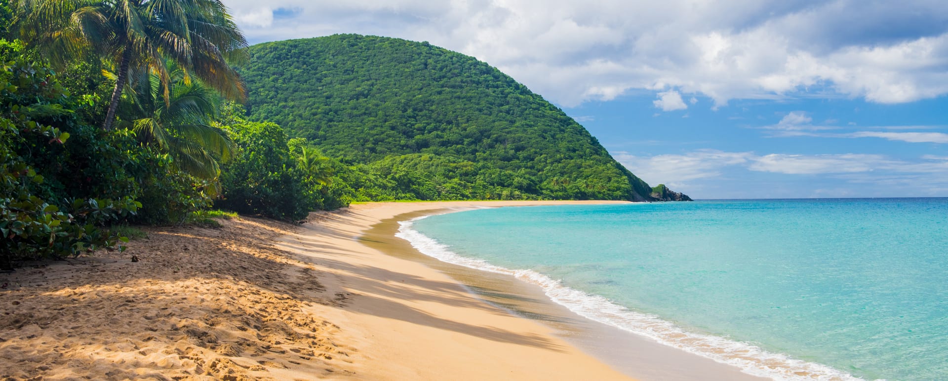 Guadelope 