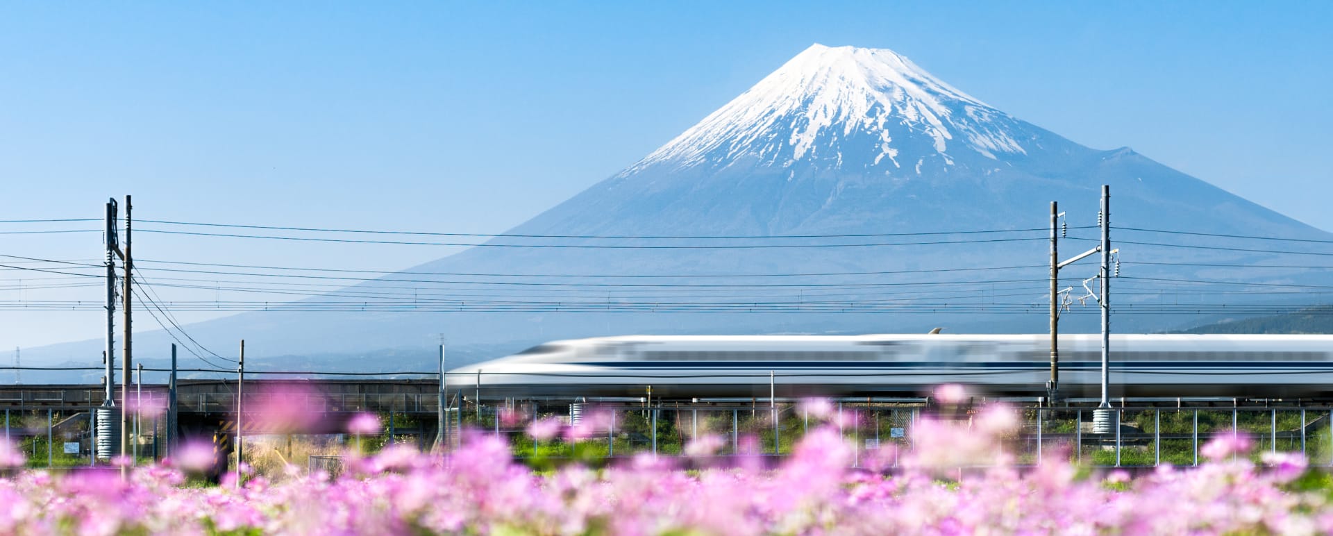 Bullet Train 