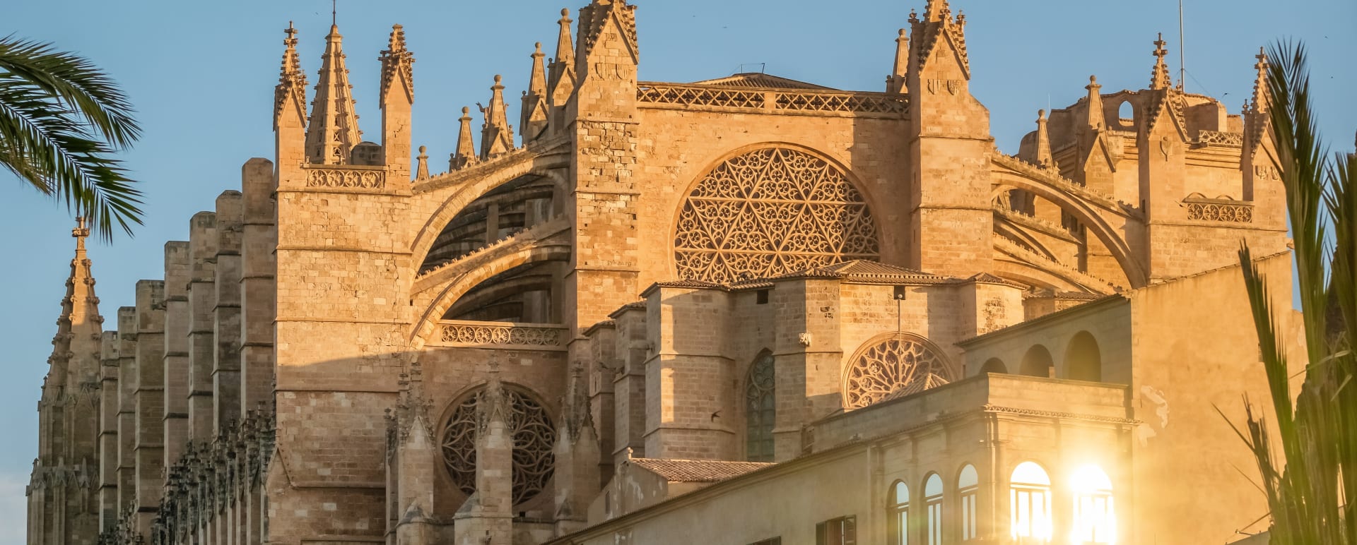 Palma 