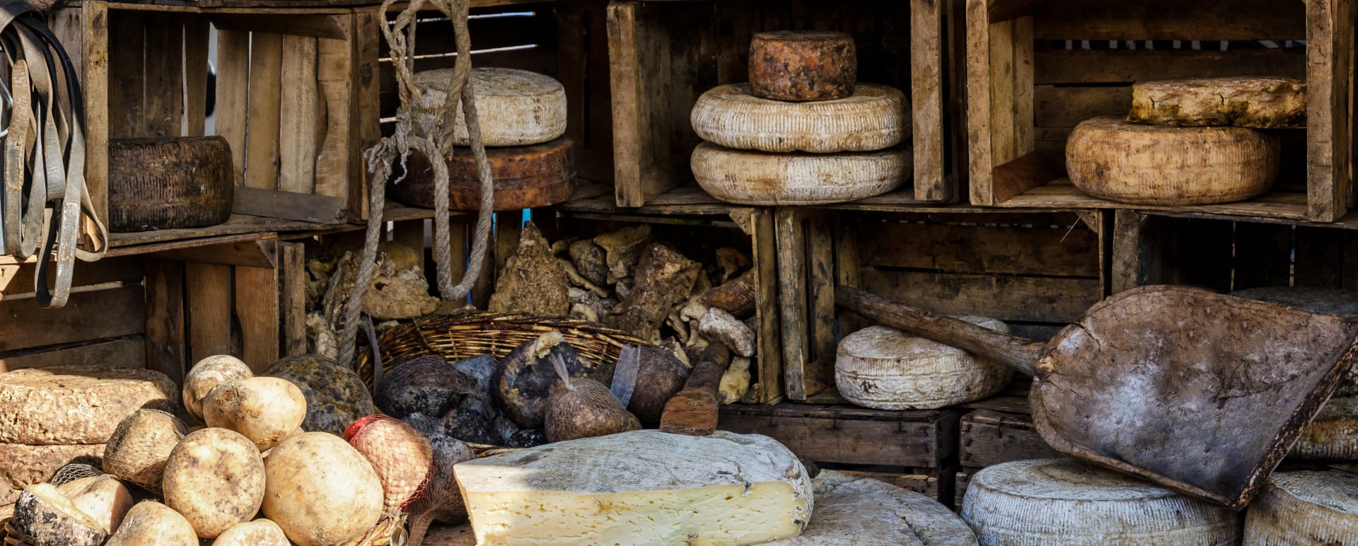 Cheese in Turin 