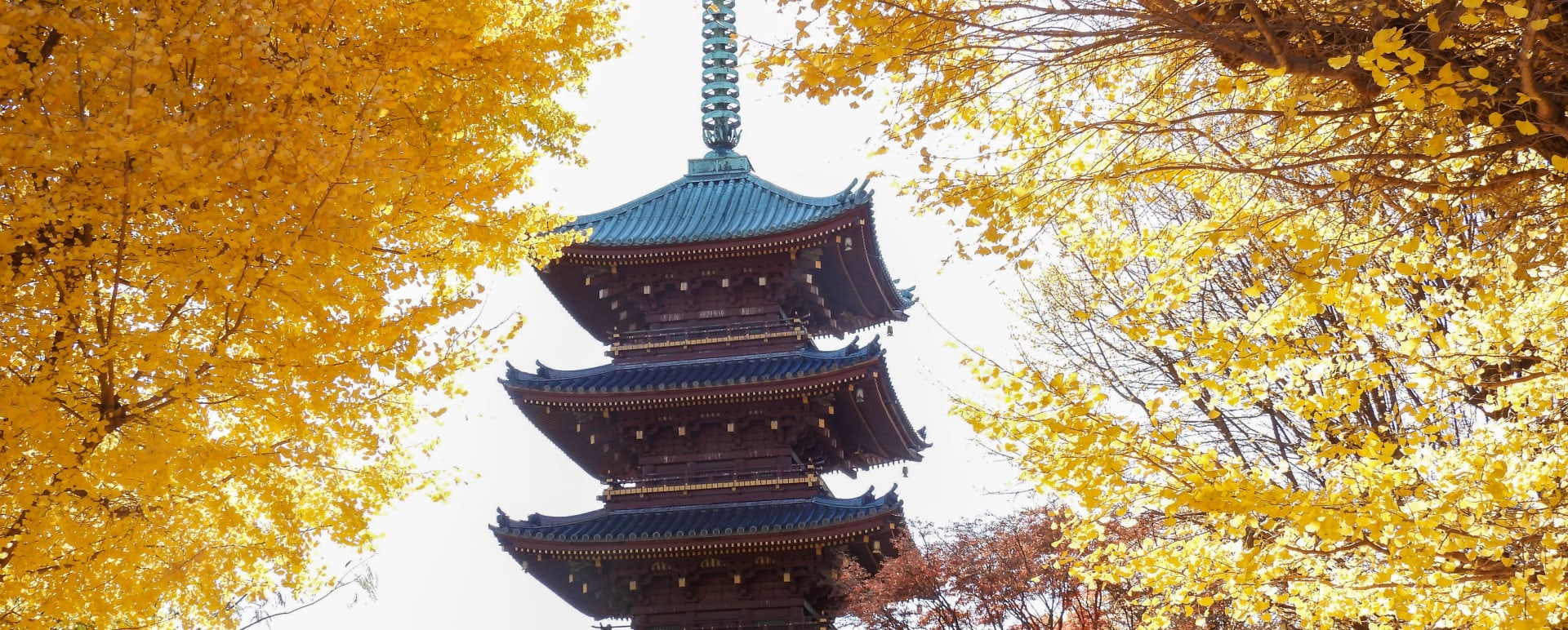 Pagoda 