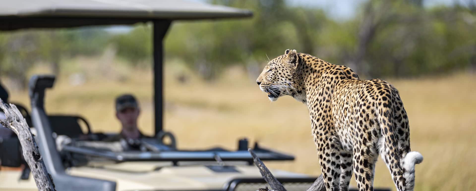 Conserving the Wild
