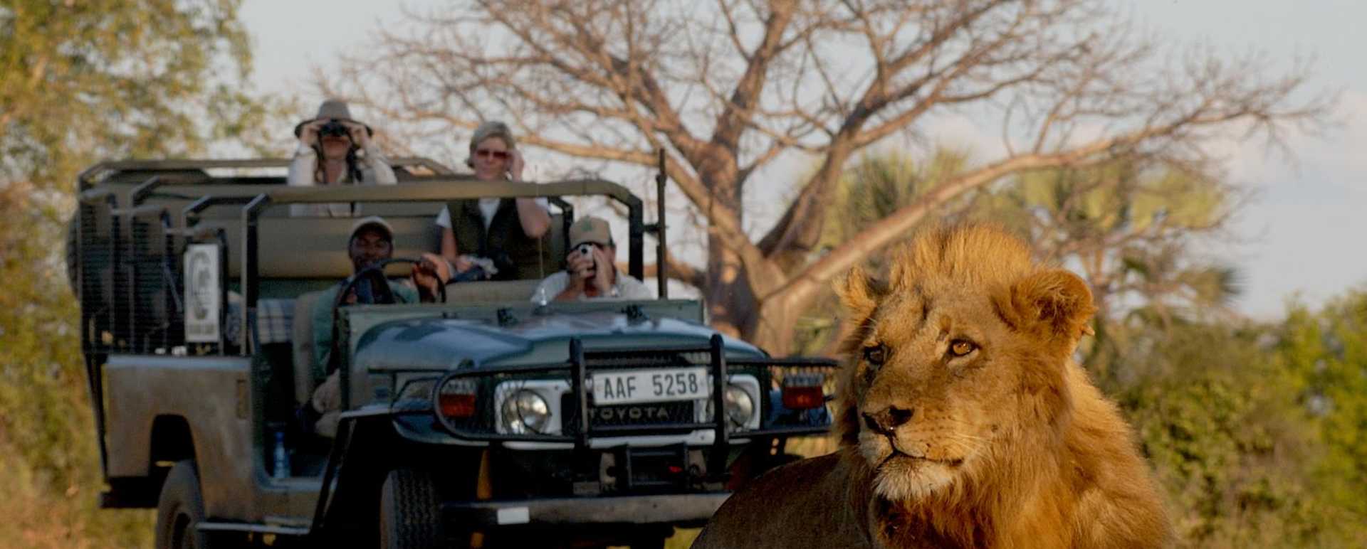 Game Drive - Chiawa Camp