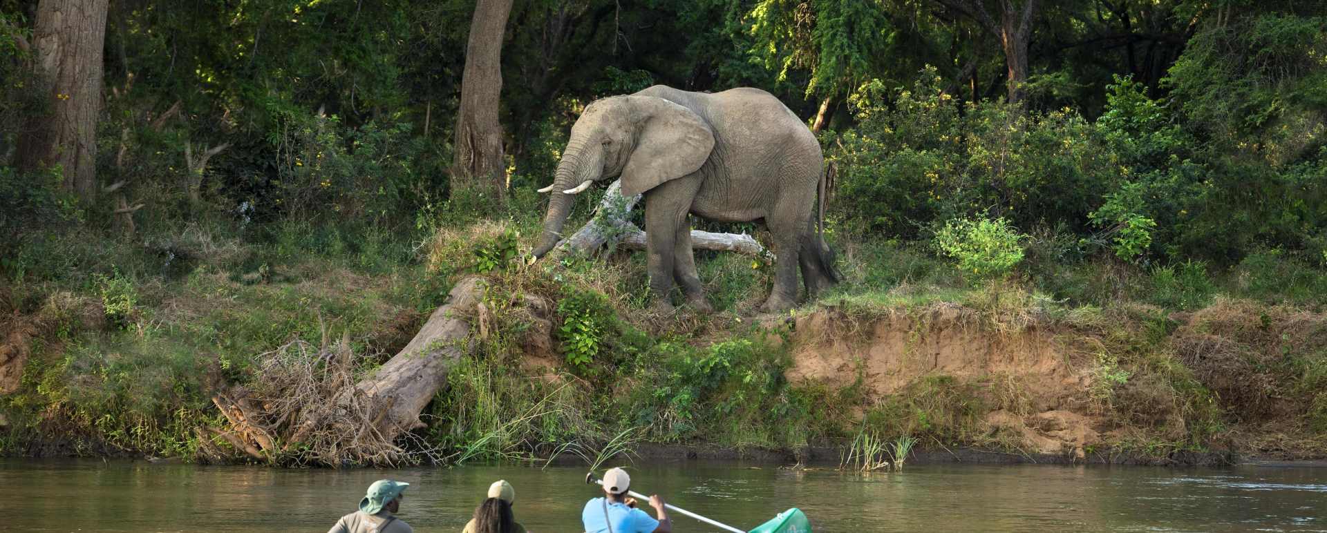Lolebezi Canoeing 