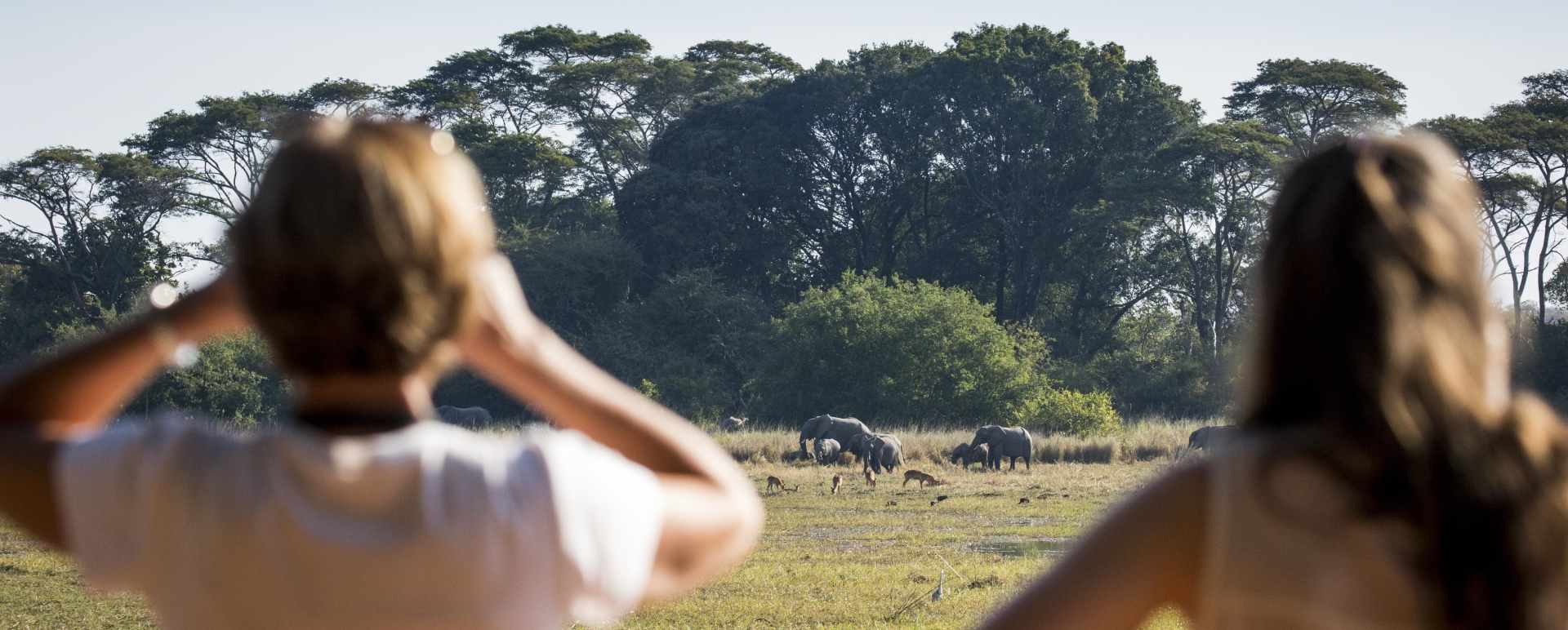 Jeffery and McKeith Safaris