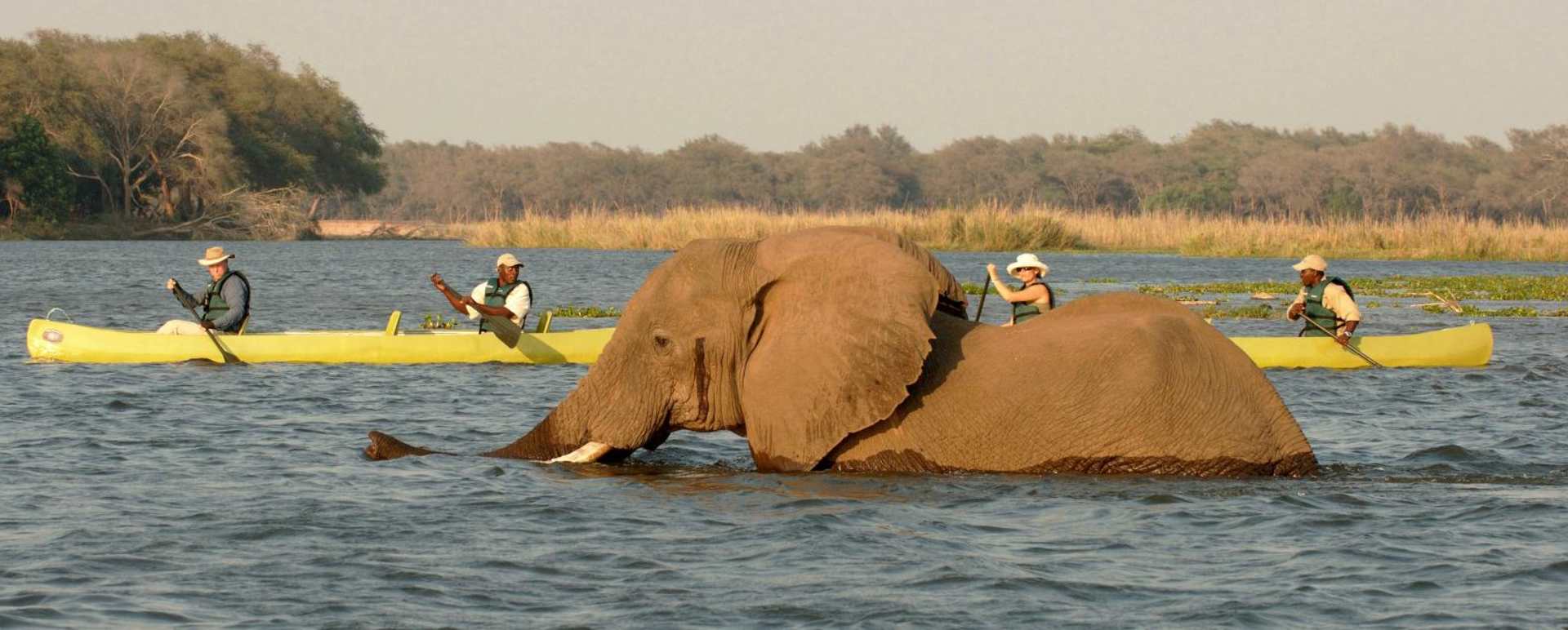 Elephant crossing at Old Mondoro