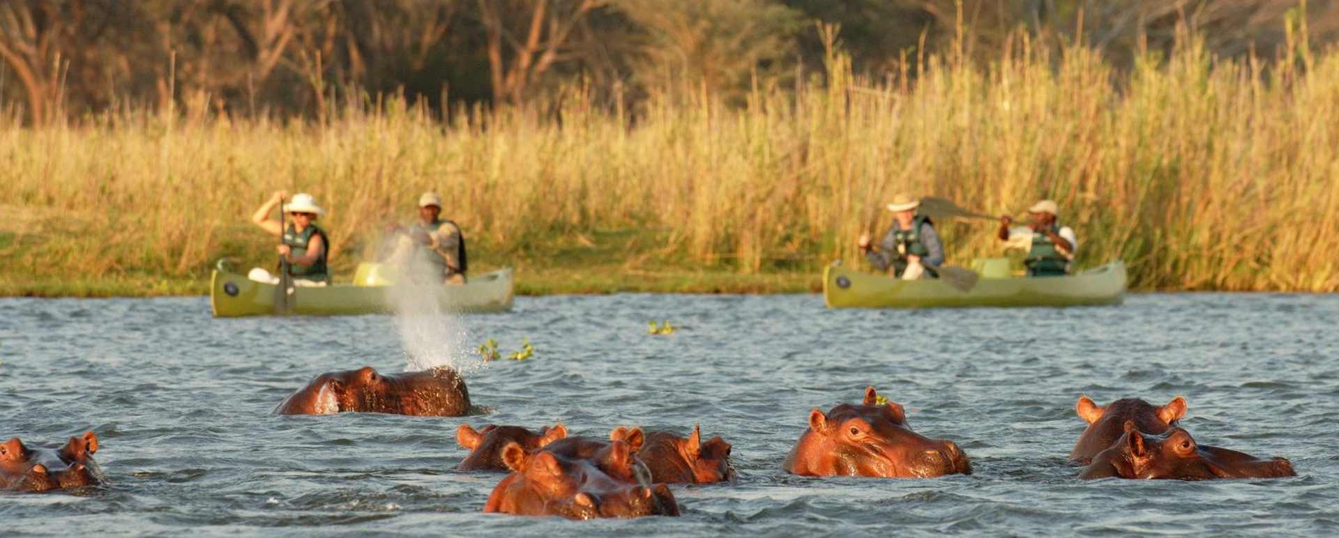 Canoe safari at Old Mondoro