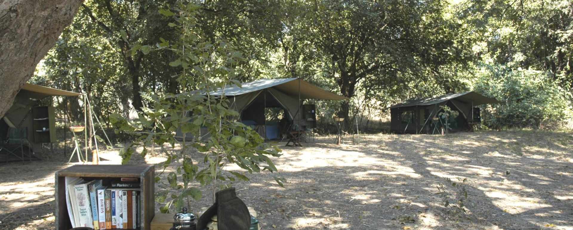 Camp grounds - RPS Mobile Camp