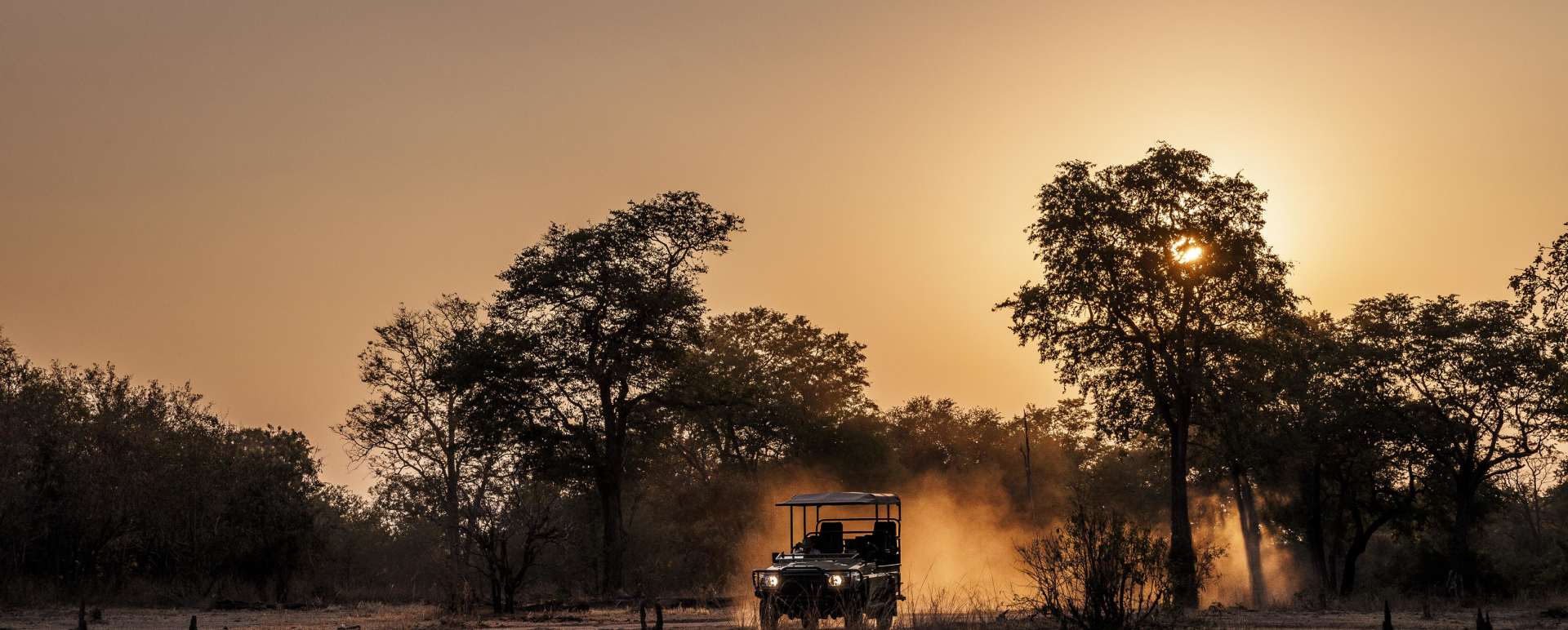 Game Drive 