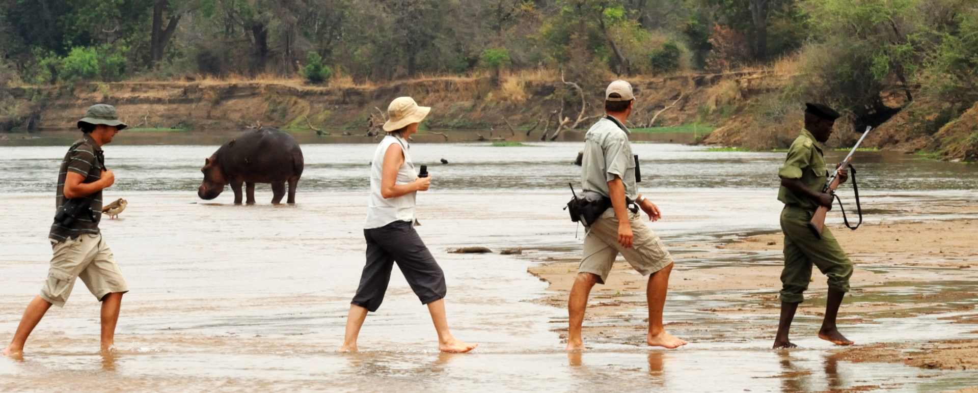 Crossing the Luangwa River 
