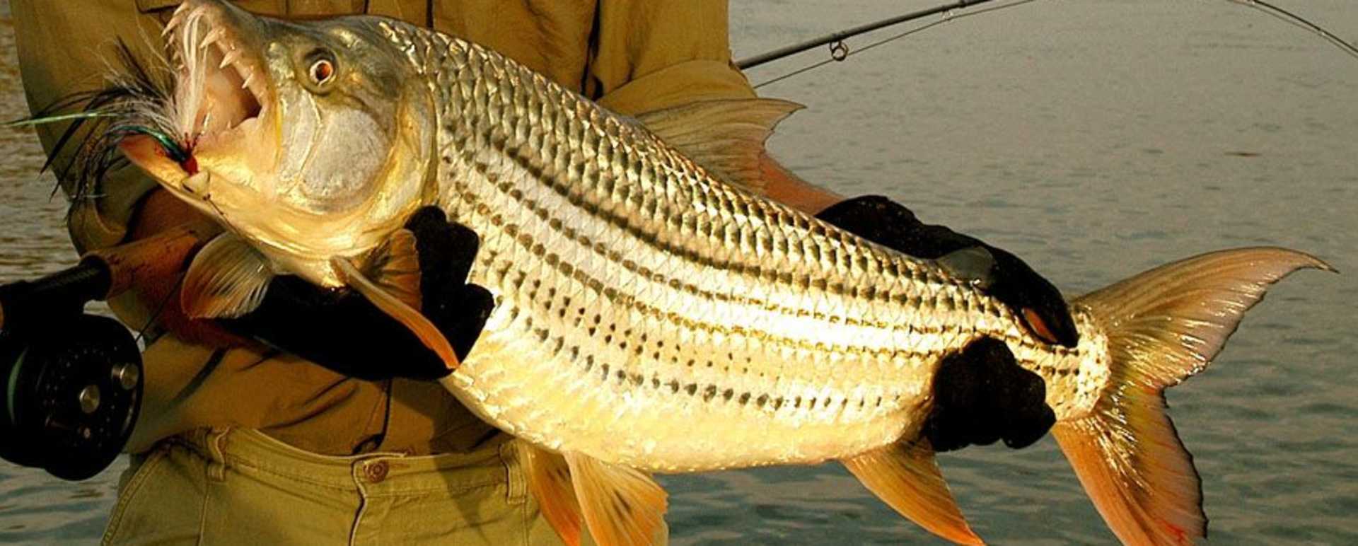 Fishing on the Zambezi River