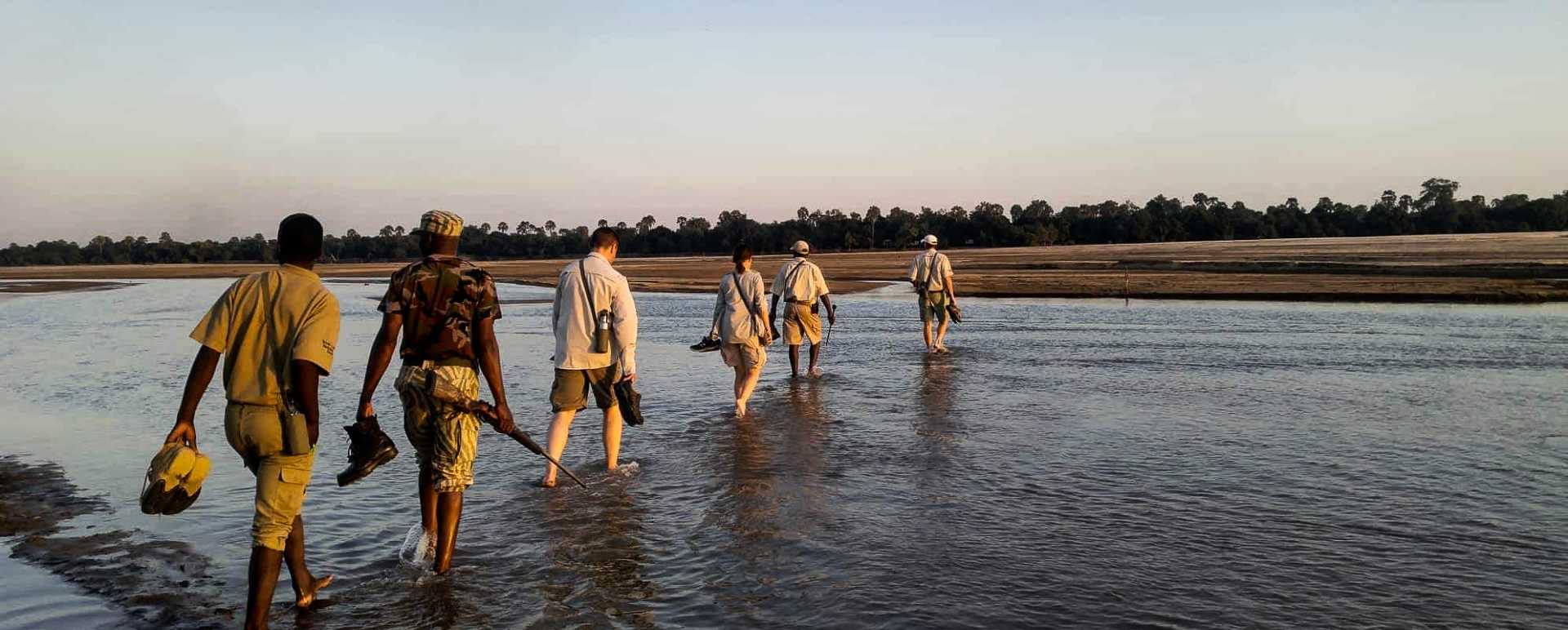 Walking Safari in Luangwa 