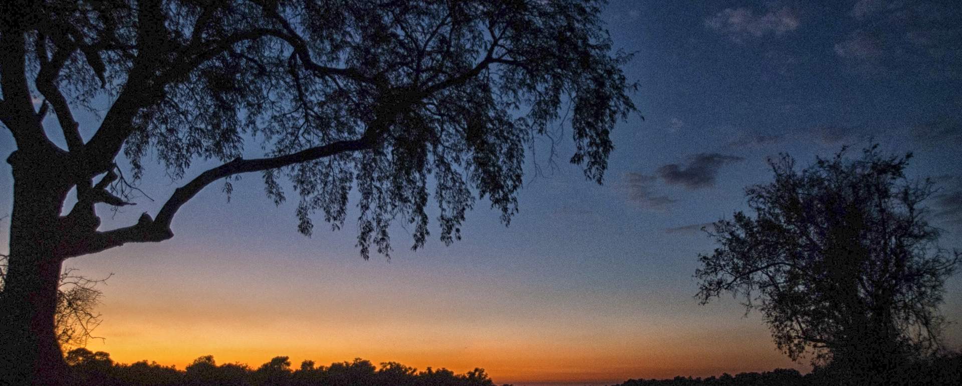 South Luangwa National Park - Best of Zambia