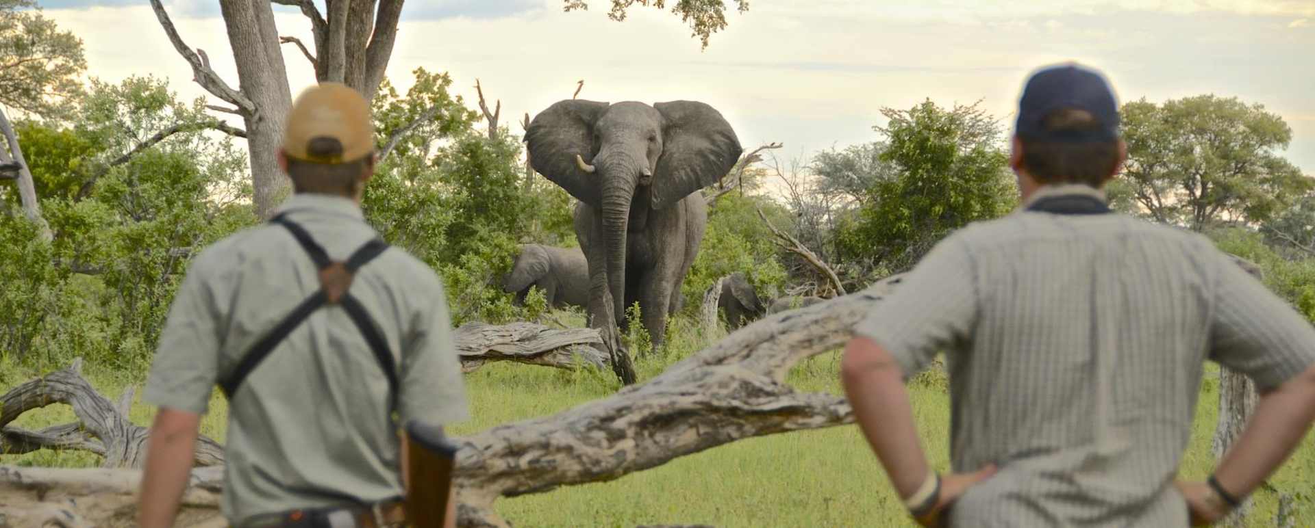 Walking Safari  - Bomani Tented Lodge