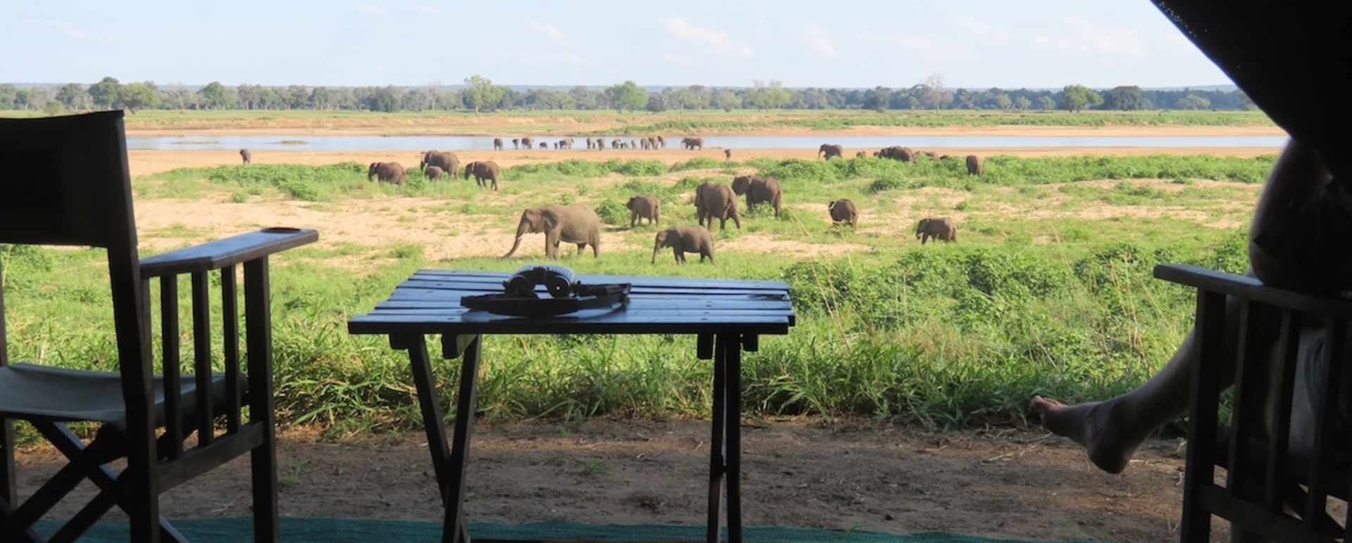 Watching elephants from the tent 