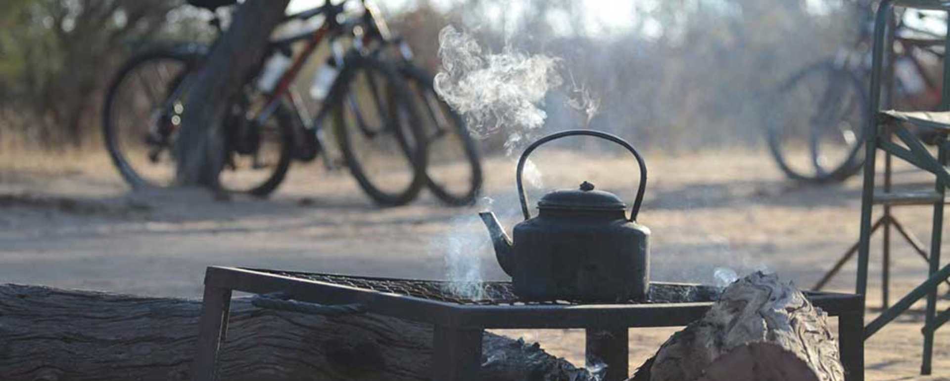 Campfire 