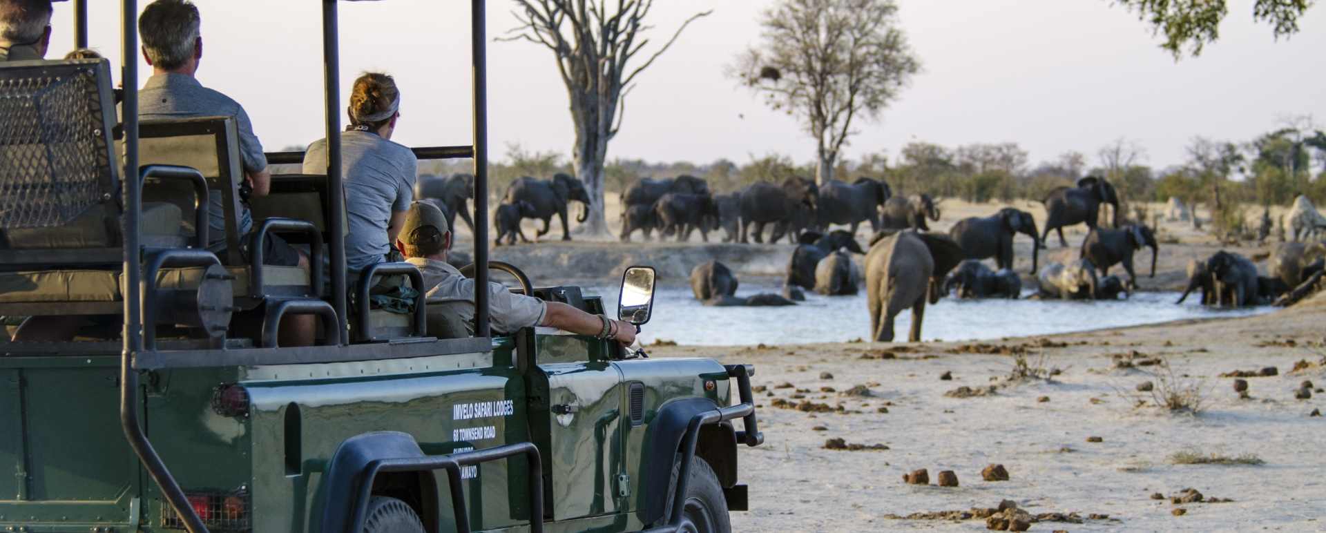 Watching elephants  - Nehimba Lodge
