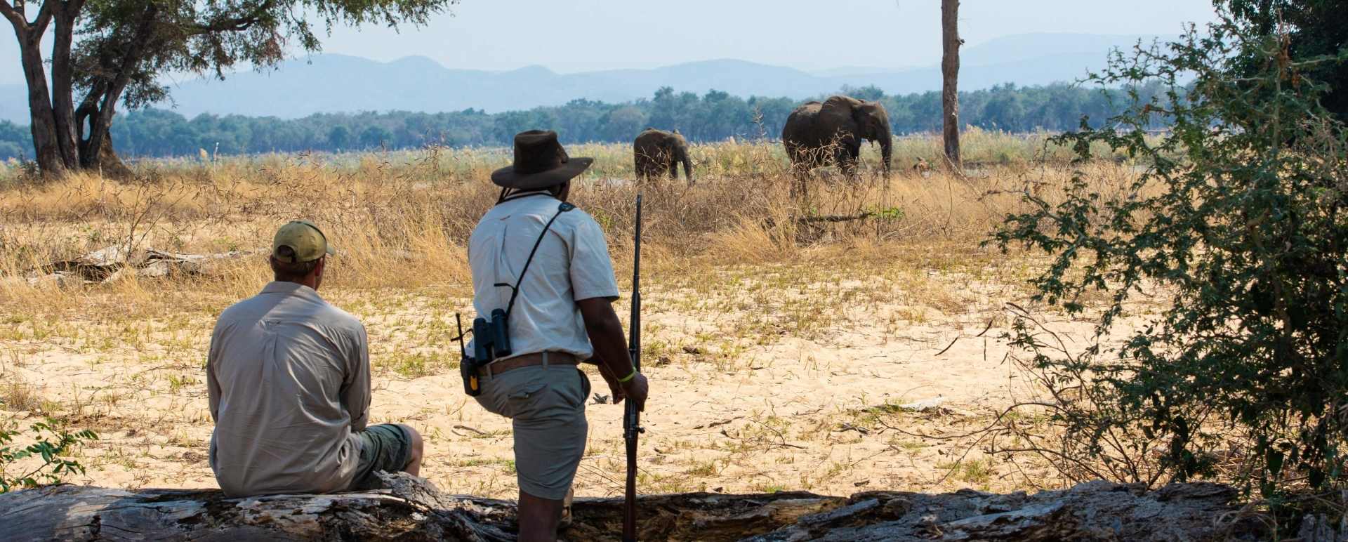  wildlife safari 