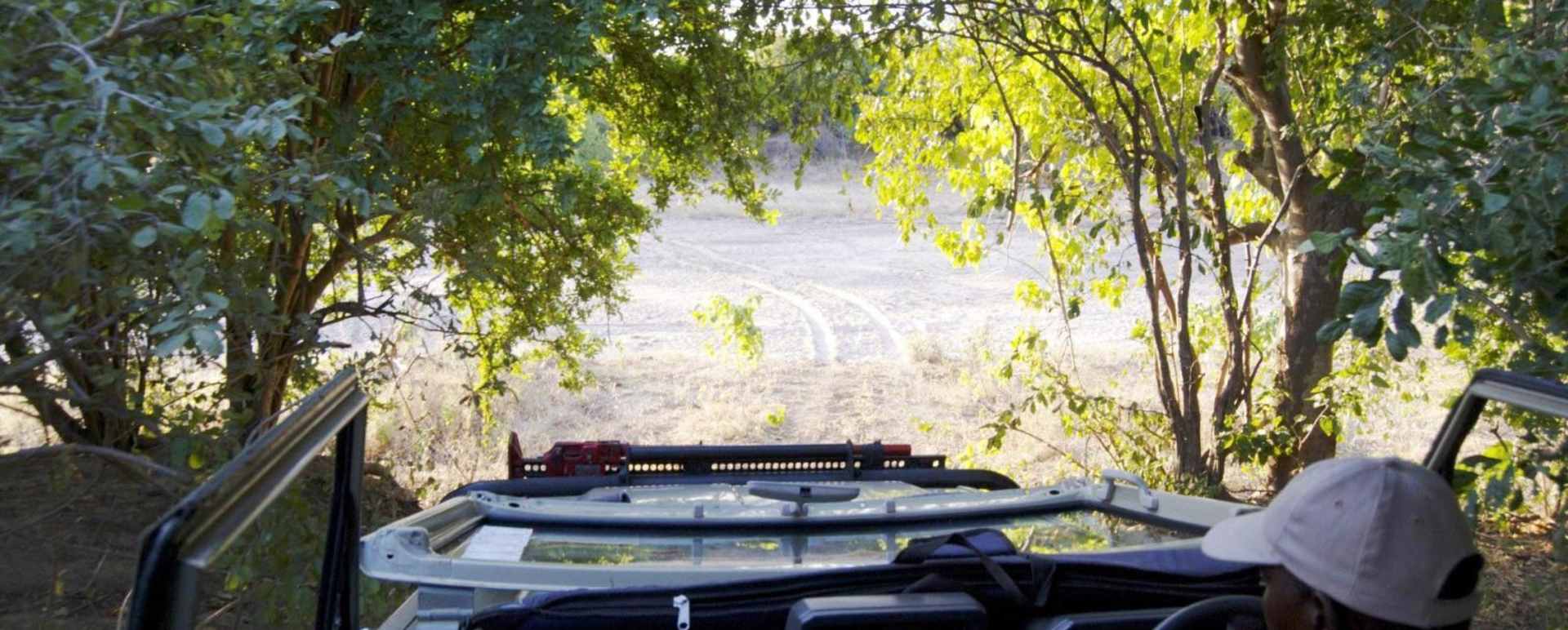 Game Drives in Zimbabwe