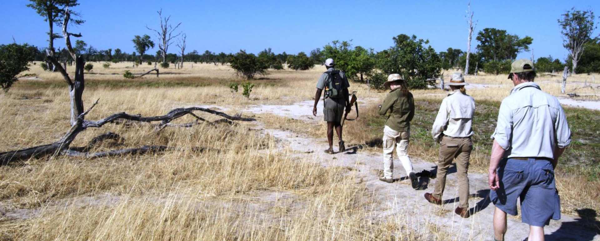Walking Safari