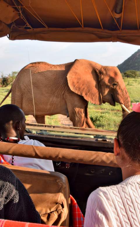 A child taking a picture on safari