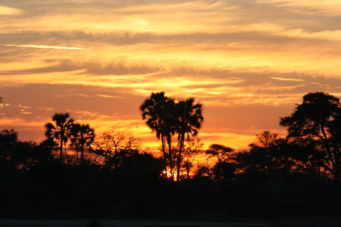 Sunset - Chobe National Park