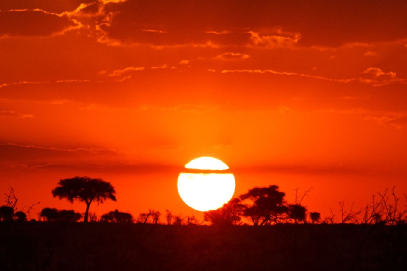 Botswana Sunset