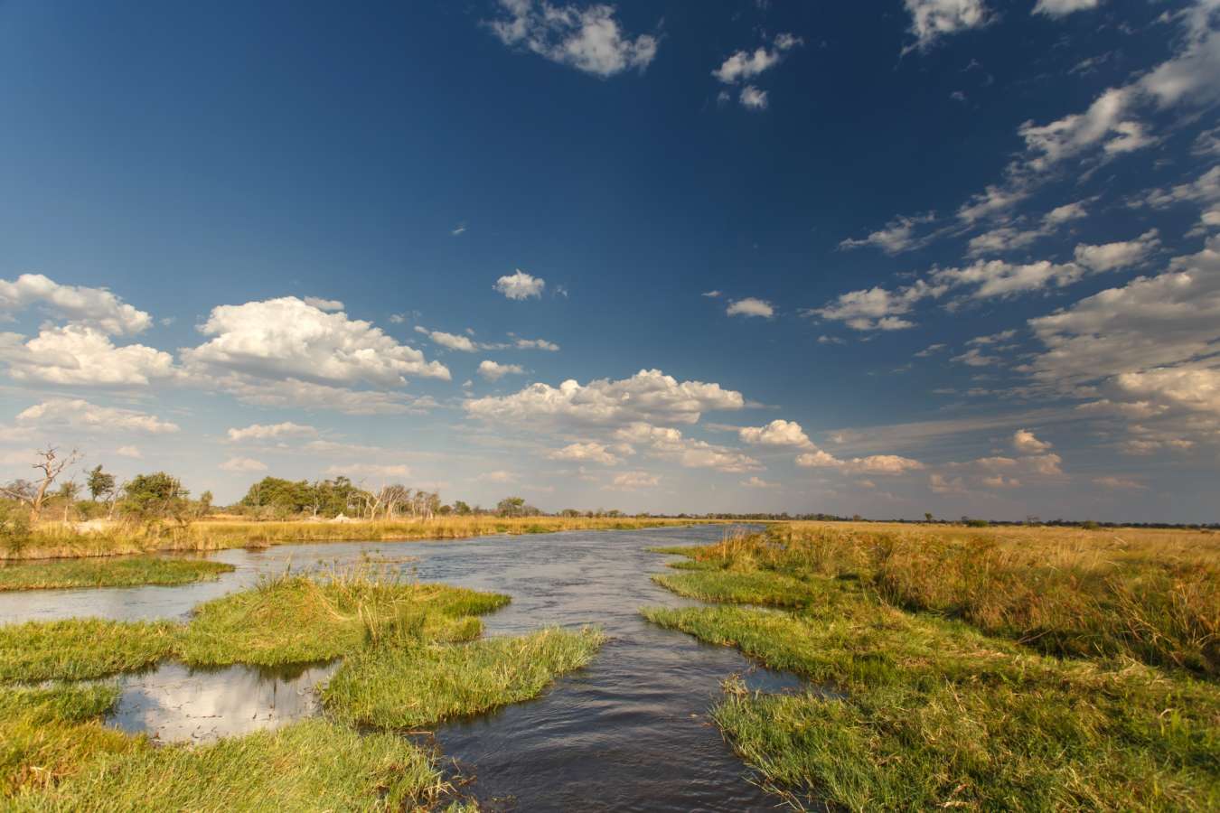 Delta - Okavango Delta and Moremi