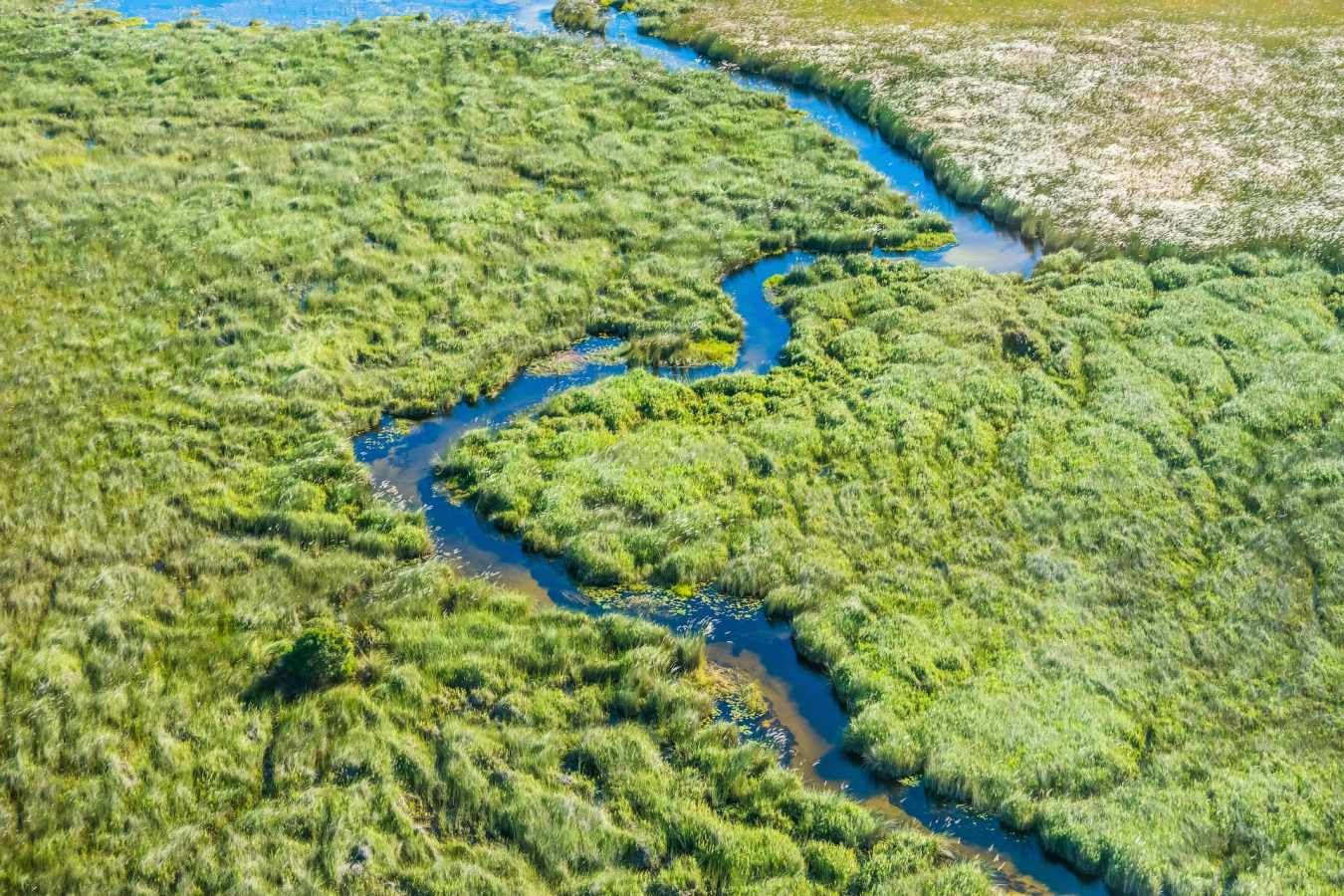 River - Okavango Delta and Moremi