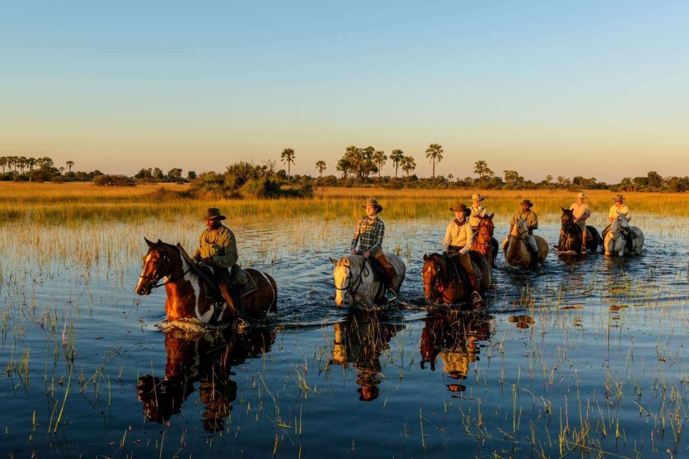 Horseback safari - Okavango Delta and Moremi
