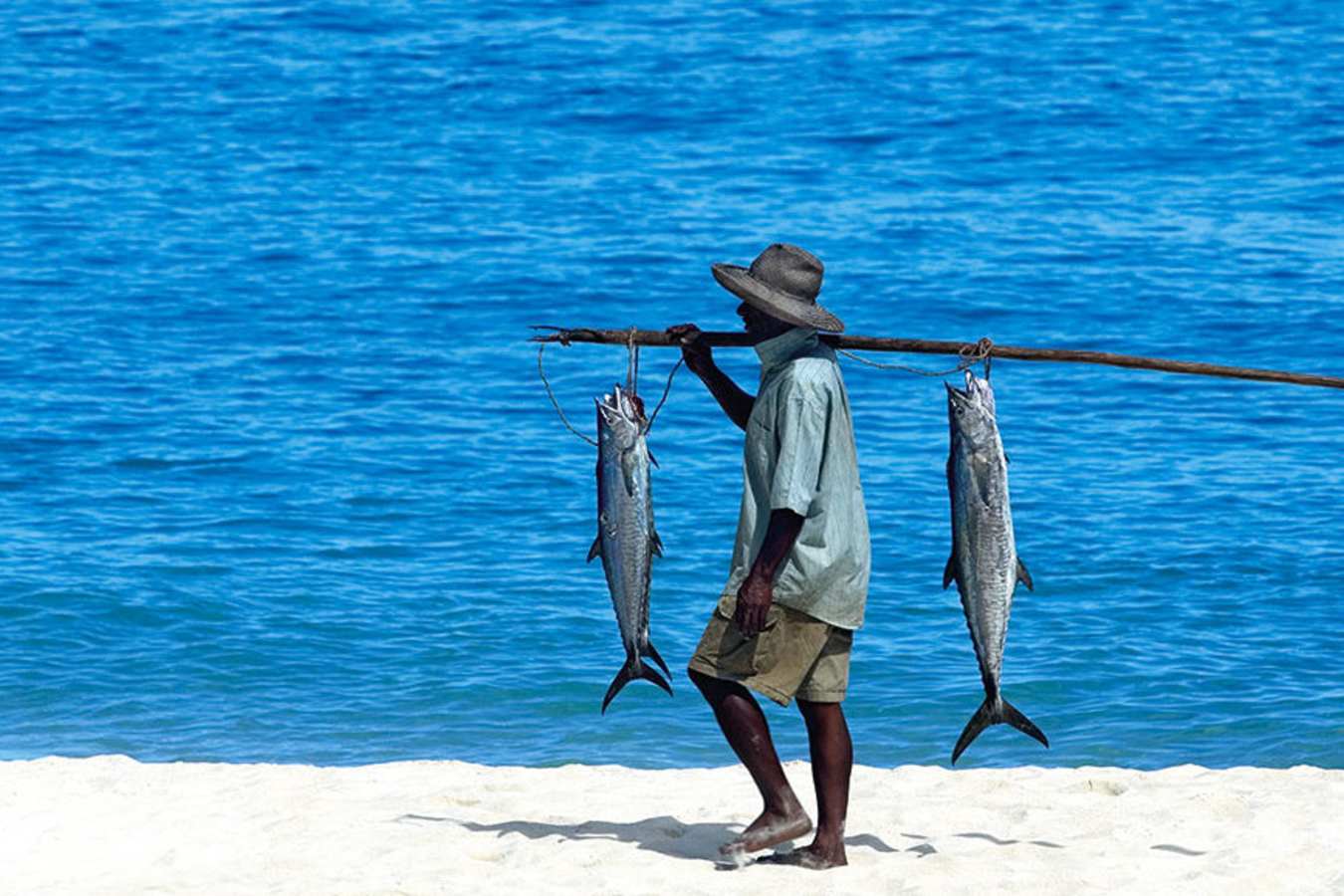 Discover Northern Madagascar