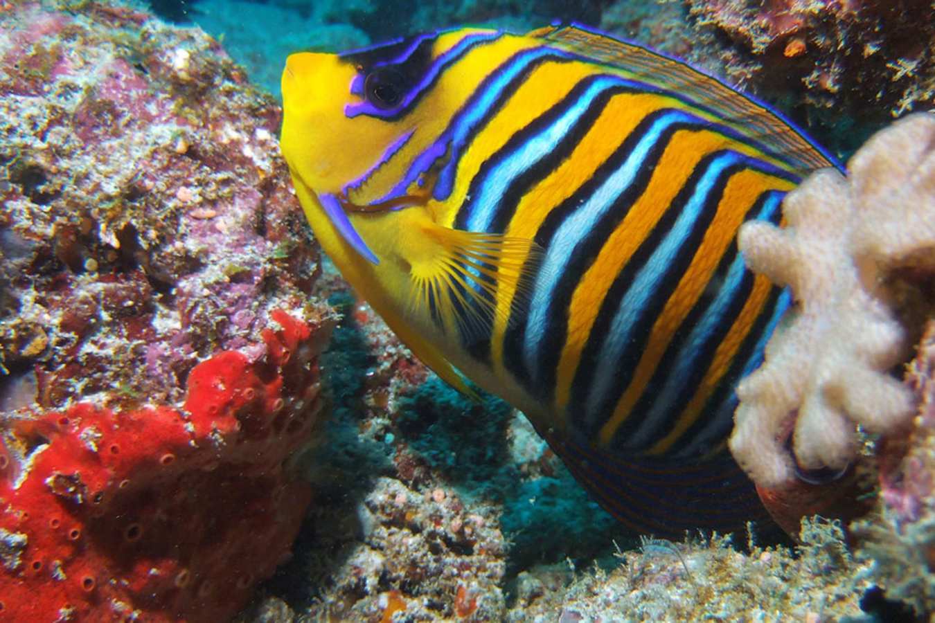 Discover Northern Madagascar