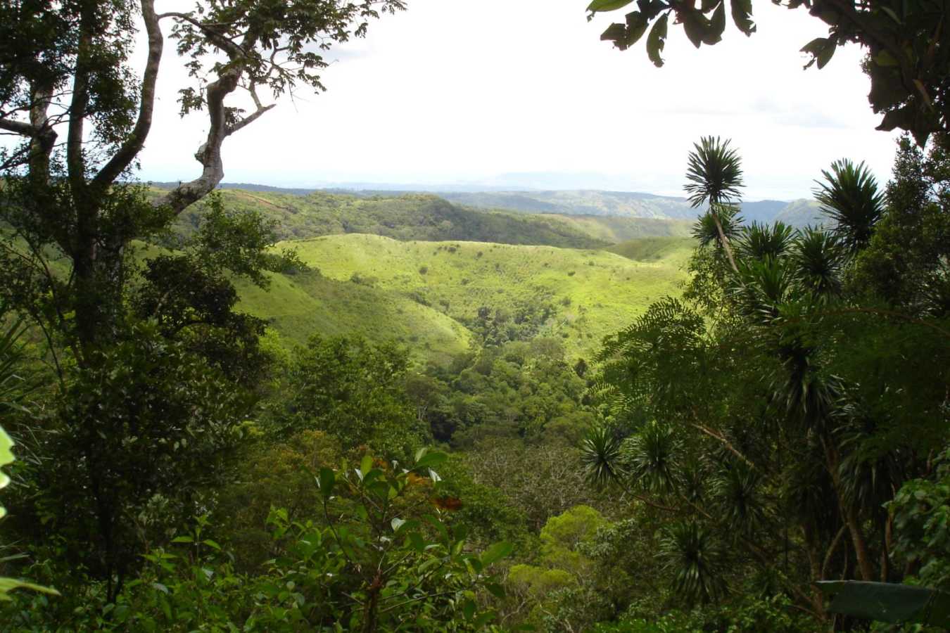 Discover Northern Madagascar