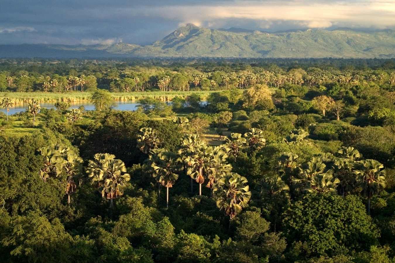 Liwonde National Park