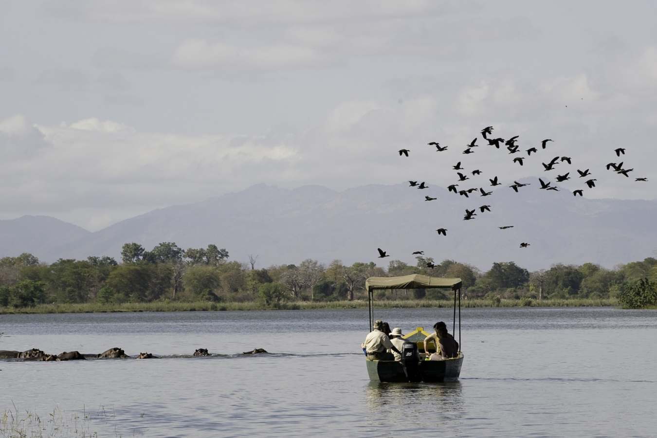 Liwonde National Park
