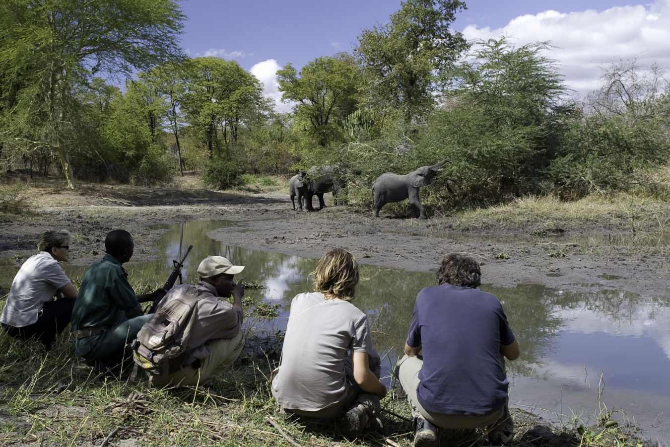 Liwonde National Park