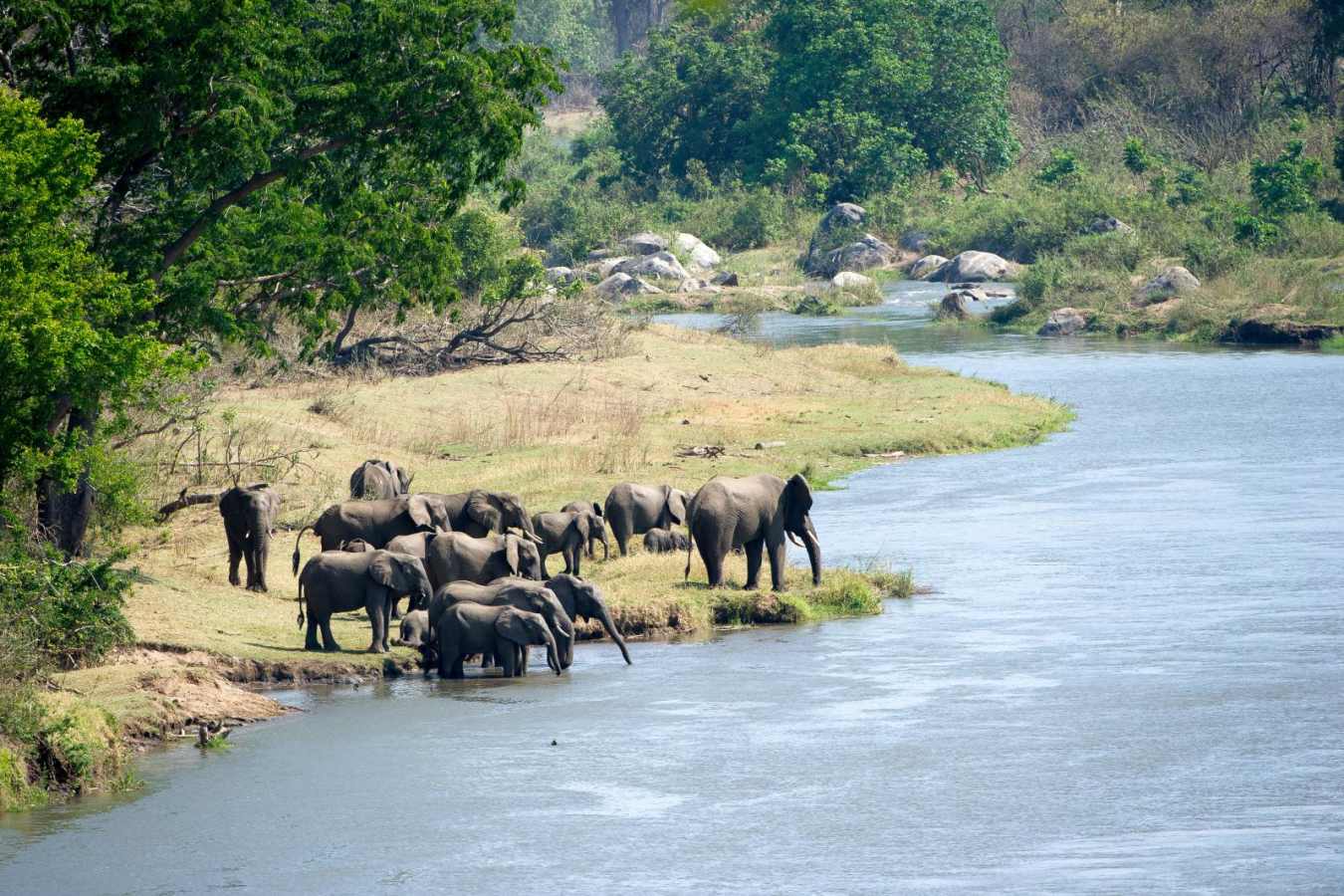 Elephants crossing the Majete River