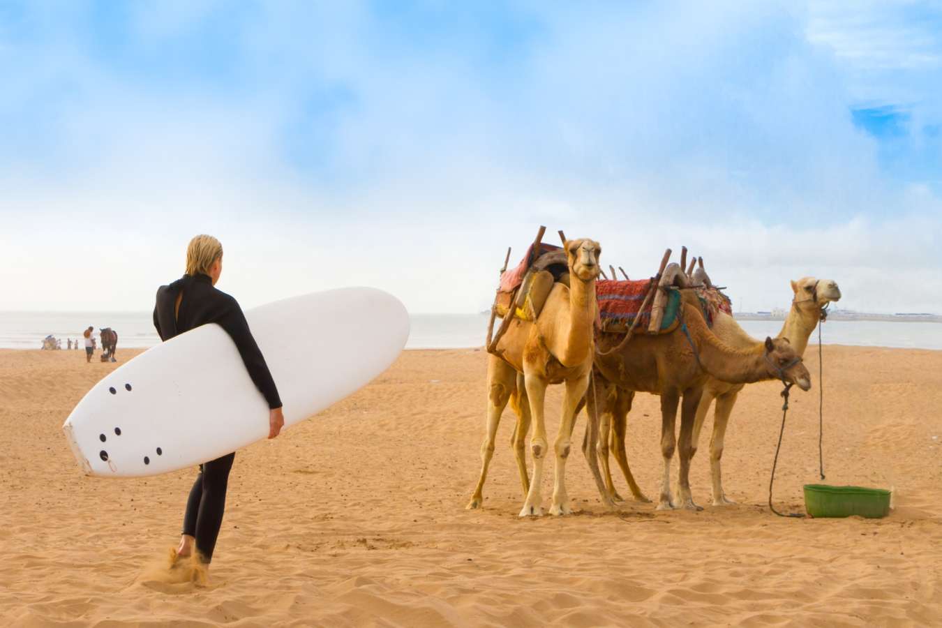 Surfer and camels - Essaouira and the Atlantic coast
