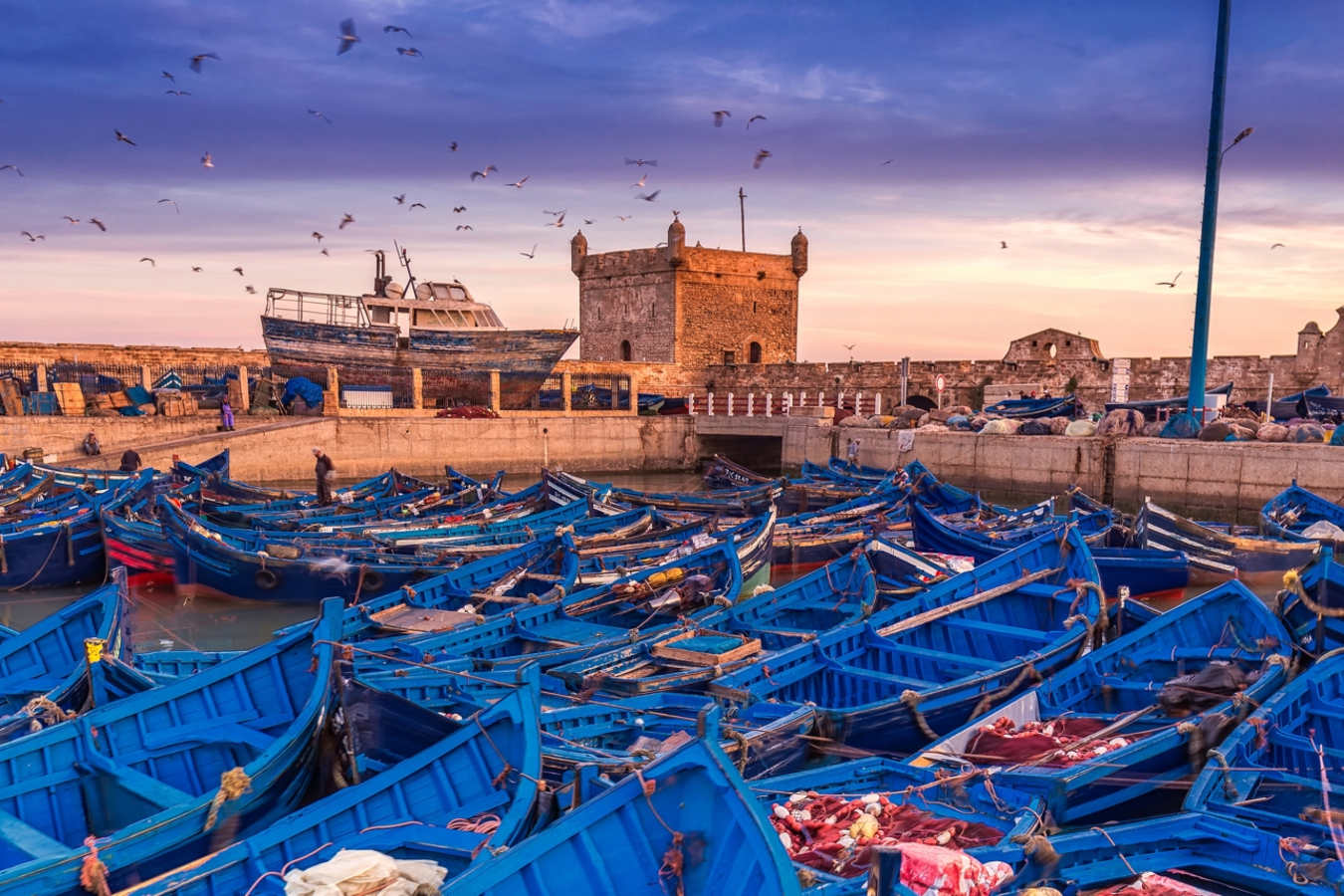 Fishing boats - Essaouira and the Atlantic Coast