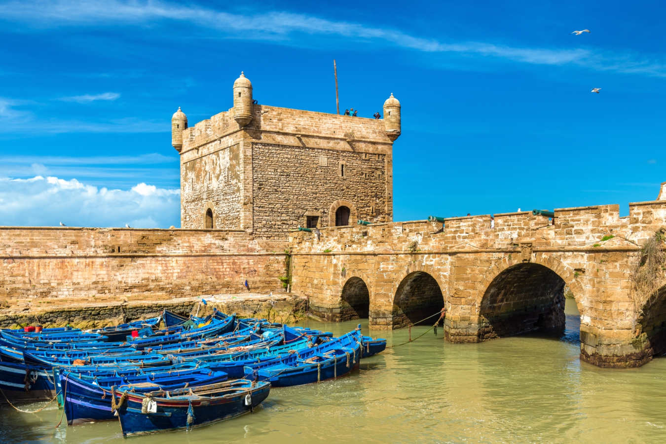 Skala du Port - Essaouira and the Atlantic Coast