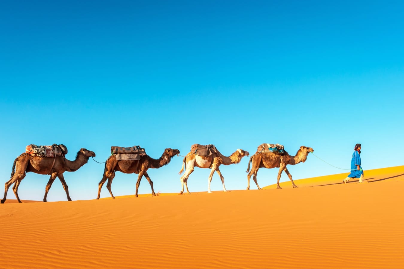 Caravan - Moroccan desert