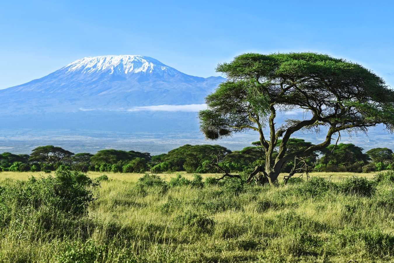 Kilimanjaro - Kilimanjaro