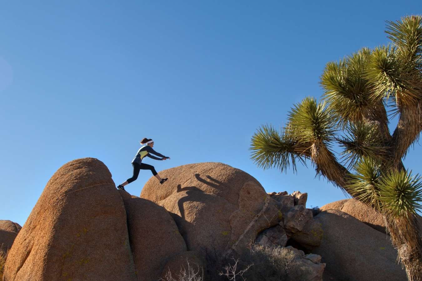 Joshua Tree - California