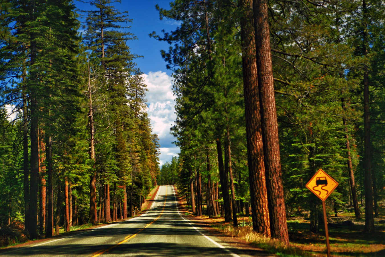 Road trip - Califronia